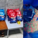 إحباط تهريب القرقوبي بالميناء المتوسطي