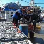 المغرب يرد على محكمة العدل الأوروبية بعد قرار لصالح البوليساريو