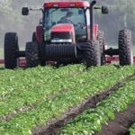 توقعات بانطلاقة جيدة للموسم الفلاحي حسب وزارة التجهيز والماء