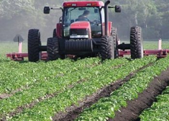 توقعات بانطلاقة جيدة للموسم الفلاحي حسب وزارة التجهيز والماء