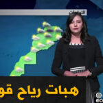 الأرصاد الجوية.. استمرار التساقطات المطرية والثلجية بالمملكة