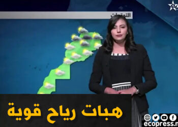 الأرصاد الجوية.. استمرار التساقطات المطرية والثلجية بالمملكة