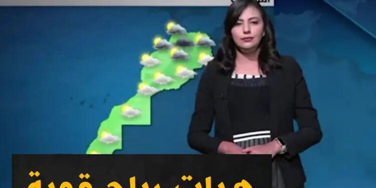 الأرصاد الجوية.. استمرار التساقطات المطرية والثلجية بالمملكة