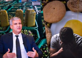 أسعار زيت الزيتون في المغرب