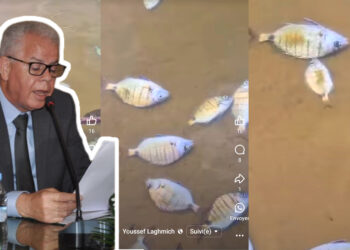 كارثة بيئية في شاطئ القصر الصغير