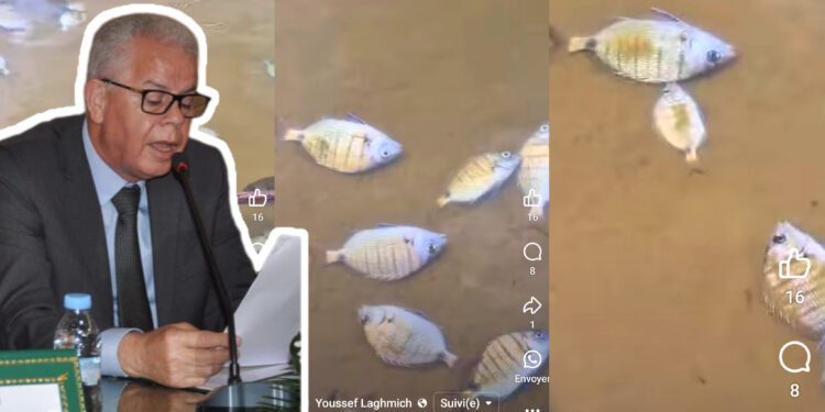 كارثة بيئية في شاطئ القصر الصغير