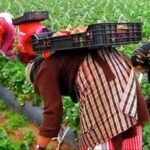 فرص عمل جديدة للنساء في إسبانيا