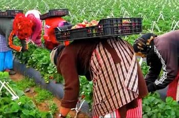 فرص عمل جديدة للنساء في إسبانيا