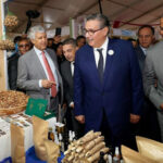 حكومة أخنوش تُخصّص أكثر من 43 مليار لوكالة التنمية الفلاحية