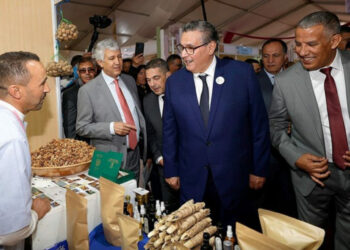 حكومة أخنوش تُخصّص أكثر من 43 مليار لوكالة التنمية الفلاحية