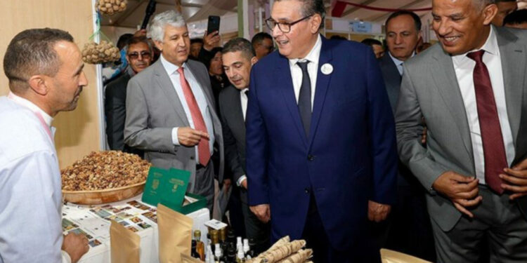 حكومة أخنوش تُخصّص أكثر من 43 مليار لوكالة التنمية الفلاحية