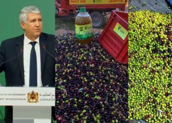 أسعار زيت الزيتون.. وزير الفلاحة يقطع الشك باليقين ويعترف بهذا الأمر