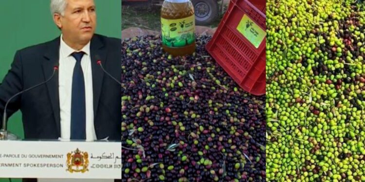 أسعار زيت الزيتون.. وزير الفلاحة يقطع الشك باليقين ويعترف بهذا الأمر
