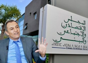 توصيات المجلس الاقتصادي والاجتماعي والبيئي بخصوص النظام الإجباري الموحد