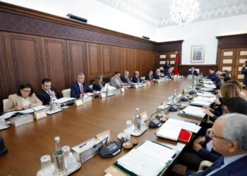 مجلس الحكومة