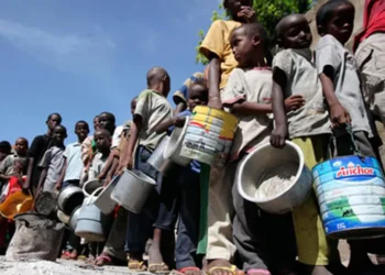 الأمن الغذائي أولوية استراتيجية