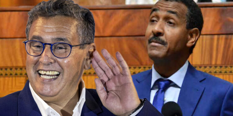 أخنوش وعبد الرحيم شهيد