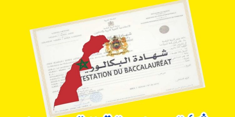 طريقة التسجيل في باك حر 2025