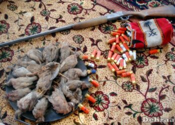 مقتل رجل أعمال بنيرانٍ صديقةٍ