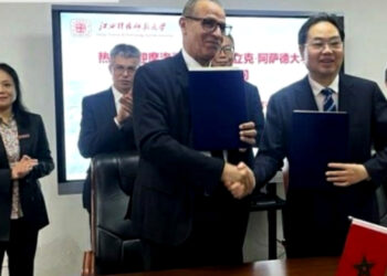 جامعة عبد المالك السعدي