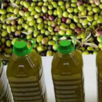 زيت الزيتون