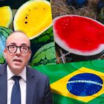 المغرب يستورد الدلاح من البرازيل