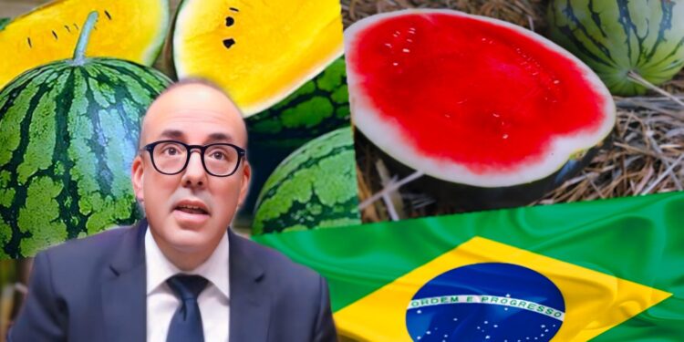 المغرب يستورد الدلاح من البرازيل