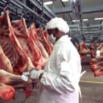 اللحوم الحمراء