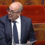 قرار جديد لوزير الفلاحة بخصوص إناث قطيع الغنم