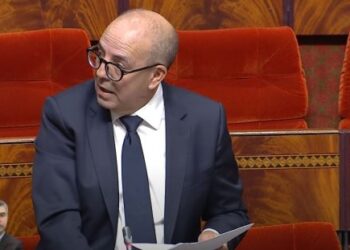 قرار جديد لوزير الفلاحة بخصوص إناث قطيع الغنم