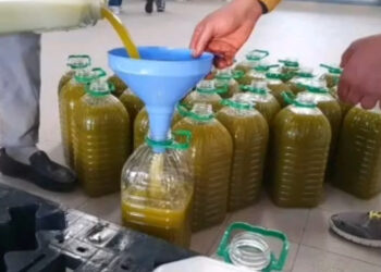 زيت الزيتون بالمغرب.. ارتفاع قياسي يثير قلق المستهلكين