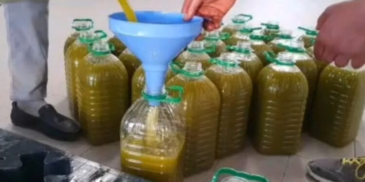 زيت الزيتون بالمغرب.. ارتفاع قياسي يثير قلق المستهلكين