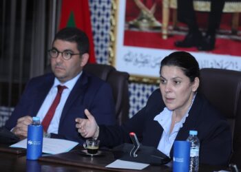 المنصوري لمناضلي البام بالشمال: قولوا الحقيقة هناك خلاف بين الليموري والدفوف