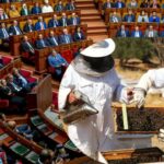 قرار جديد في البرلمان بخصوص أسعار العسل في المغرب