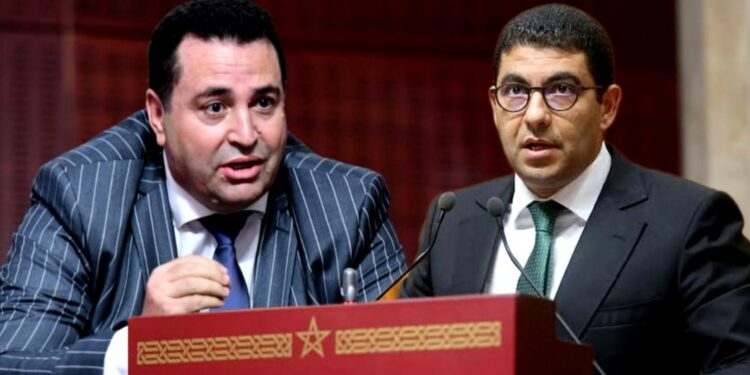 برلماني يحاصر الوزير بنسعيد بخصوص التمييز اللادستوري للقرار المشترك