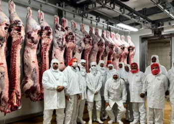 مهني اللحوم يؤكد انخفاض أثمان الغنمي ولحم البقر في الأسواق المغربية