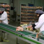 زيادات جديدة في الكهرباء والسلع الاستهلاكية ومنتجات التبغ