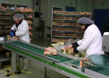 زيادات جديدة في الكهرباء والسلع الاستهلاكية ومنتجات التبغ