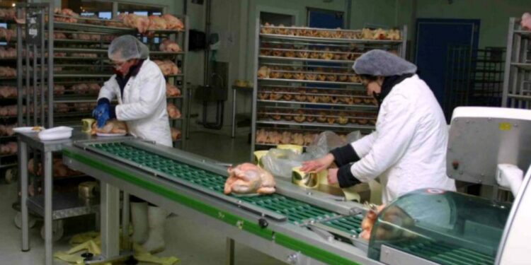 زيادات جديدة في الكهرباء والسلع الاستهلاكية ومنتجات التبغ