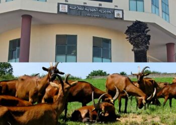 حملة انتخابية سابقة لأوانها بإمكانيات الدولة تصل البرلمان وتستنفر سلطات طنجة