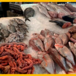 تقرير رسمي يكشف القيمة التسويقية للمنتجات السمكية بموانئ شمال المغرب