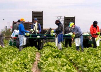 ٱليات تمويل جديدة لدعم الفلاحين بجهة طنجة تطوان الحسيمة