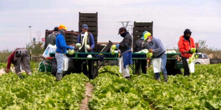 ٱليات تمويل جديدة لدعم الفلاحين بجهة طنجة تطوان الحسيمة