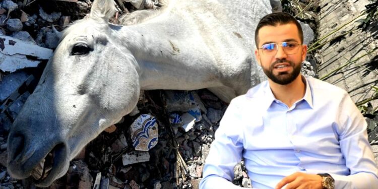 عبد العظيم الطويل يرد على واقعة الخيول المحتجزة