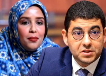 نائبة برلمانية تسائل بنسعيد حول إجراءات مراجعة قرار الدعم العمومي للصحافة خارج الدستور