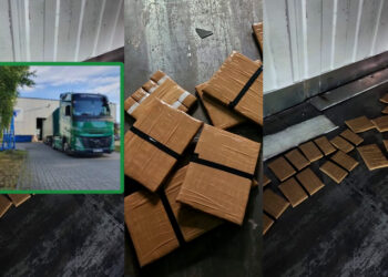 ضبط حشيش في الميناء المتوسطي على متن شاحنة قادمة من المنطقة الحرة لطنجة