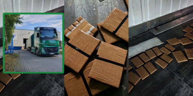 ضبط حشيش في الميناء المتوسطي على متن شاحنة قادمة من المنطقة الحرة لطنجة