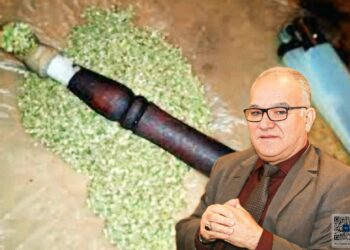 نور الدين مضيان يدعو إلى تقنين تدخين الكيف في المغرب ويحدد الشروط