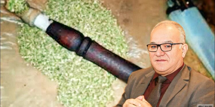 نور الدين مضيان يدعو إلى تقنين تدخين الكيف في المغرب ويحدد الشروط