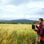 إقالة المدير الإقليمي للمكتب الوطني للكهرباء بإقليم شفشاون